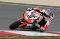 Camier_1141.JPG
