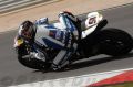 Haslam_0896.jpg