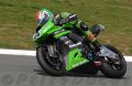 Sykes_1322.JPG