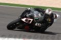 Tamada_0959.JPG