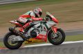 Biaggi_1025.jpg