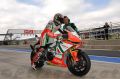 Biaggi_3247.jpg