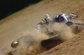 chute_Foret_1130.jpg
